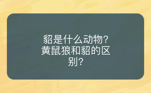 貂是什么动物?黄鼠狼和貂的区别?
