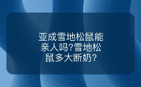 亚成雪地松鼠能亲人吗?雪地松鼠多大断奶?