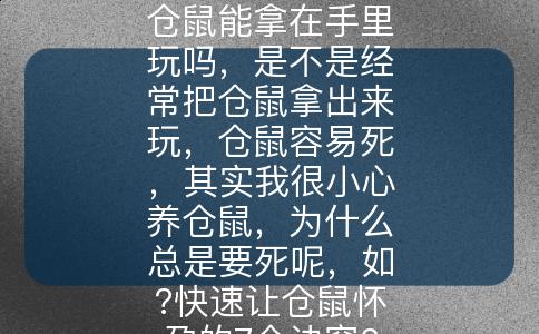 仓鼠能拿在手里玩吗，是不是经常把仓鼠拿出来玩，仓鼠容易死，其实我很小心养仓鼠，为什么总是要死呢，如?快速让仓鼠怀孕的7个诀窍?