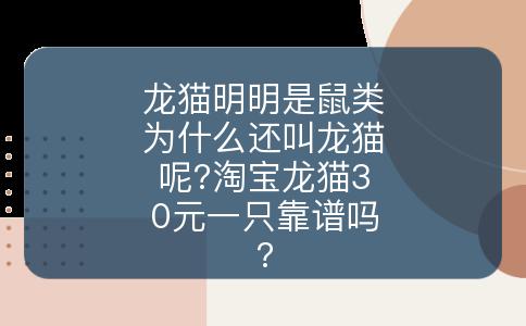 龙猫明明是鼠类为什么还叫龙猫呢?淘宝龙猫30元一只靠谱吗?