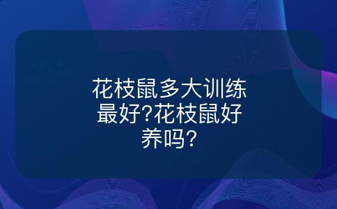花枝鼠多大训练最好?花枝鼠好养吗?