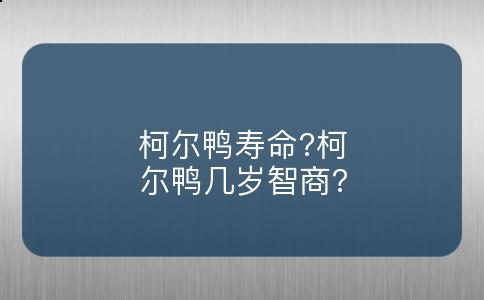 柯尔鸭寿命?柯尔鸭几岁智商?