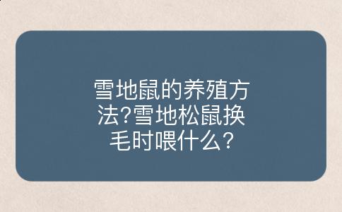 雪地鼠的养殖方法?雪地松鼠换毛时喂什么?