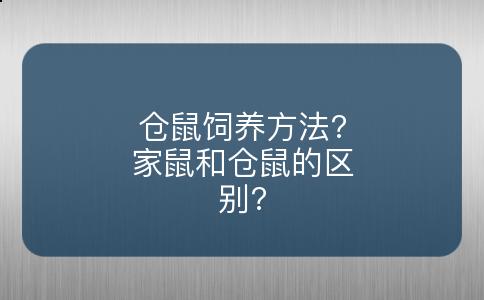 仓鼠饲养方法?家鼠和仓鼠的区别?