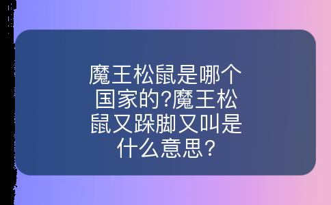 魔王松鼠是哪个国家的?魔王松鼠又跺脚又叫是什么意思?