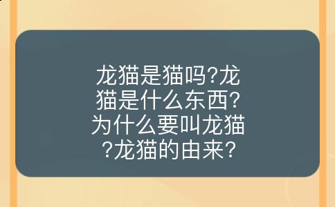 龙猫是猫吗?龙猫是什么东西?为什么要叫龙猫?龙猫的由来?