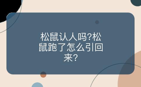 松鼠认人吗?松鼠跑了怎么引回来?
