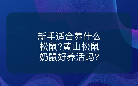 新手适合养什么松鼠?黄山松鼠奶鼠好养活吗?