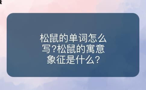 松鼠的单词怎么写?松鼠的寓意象征是什么?