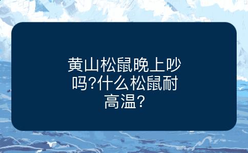 黄山松鼠晚上吵吗?什么松鼠耐高温?