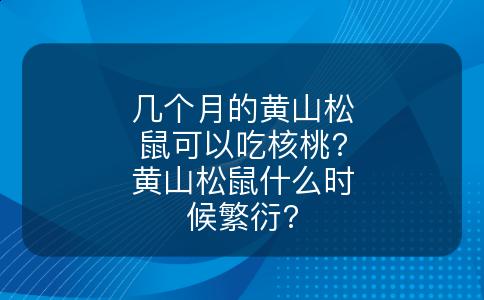 几个月的黄山松鼠可以吃核桃?黄山松鼠什么时候繁衍?