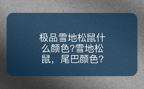 极品雪地松鼠什么颜色?雪地松鼠，尾巴颜色?