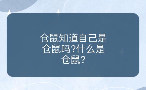 仓鼠知道自己是仓鼠吗?什么是仓鼠?