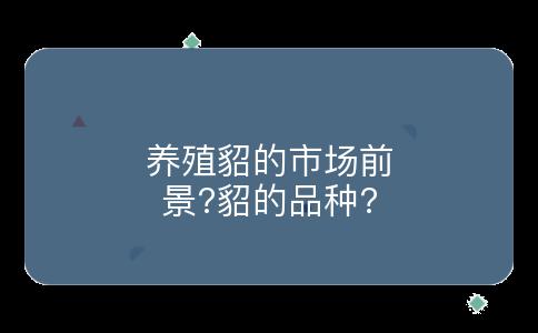 养殖貂的市场前景?貂的品种?