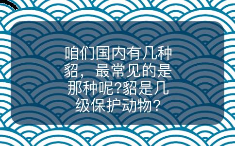 咱们国内有几种貂，最常见的是那种呢?貂是几级保护动物?