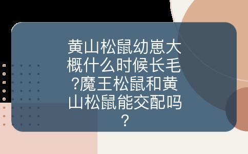 黄山松鼠幼崽大概什么时候长毛?魔王松鼠和黄山松鼠能交配吗?