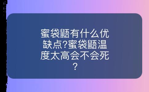 蜜袋鼯有什么优缺点?蜜袋鼯温度太高会不会死?