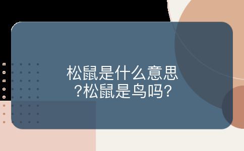 松鼠是什么意思?松鼠是鸟吗?