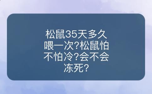松鼠35天多久喂一次?松鼠怕不怕冷?会不会冻死?