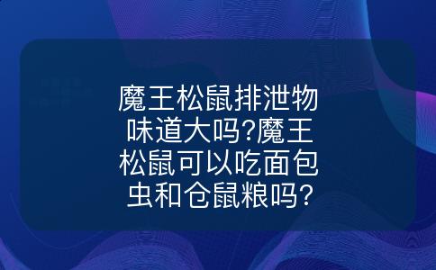 魔王松鼠排泄物味道大吗?魔王松鼠可以吃面包虫和仓鼠粮吗?