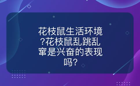 花枝鼠生活环境?花枝鼠乱跳乱窜是兴奋的表现吗?