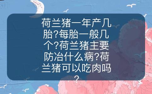 荷兰猪一年产几胎?每胎一般几个?荷兰猪主要防冶什么病?荷兰猪可以吃肉吗?
