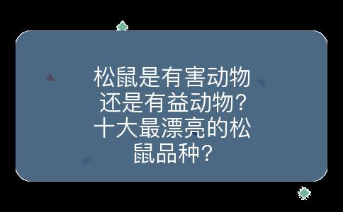 松鼠是有害动物还是有益动物?十大最漂亮的松鼠品种?