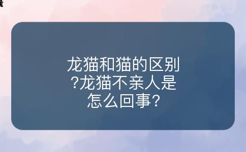 龙猫和猫的区别?龙猫不亲人是怎么回事?