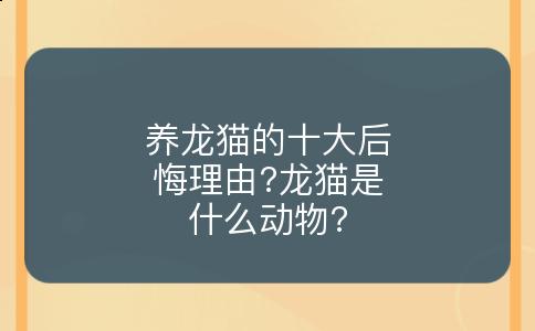养龙猫的十大后悔理由?龙猫是什么动物?