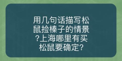 用几句话描写松鼠捡榛子的情景?上海哪里有买松鼠要确定?