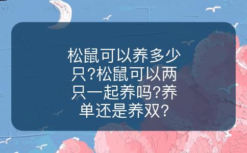 松鼠可以养多少只?松鼠可以两只一起养吗?养单还是养双?