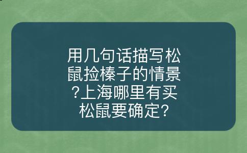 用几句话描写松鼠捡榛子的情景?上海哪里有买松鼠要确定?