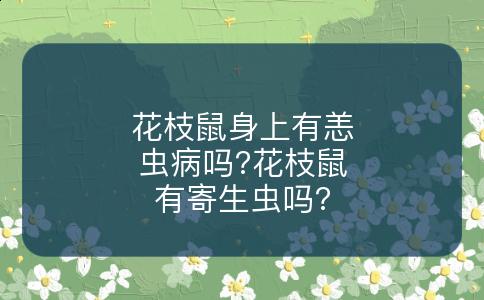 花枝鼠身上有恙虫病吗?花枝鼠有寄生虫吗?