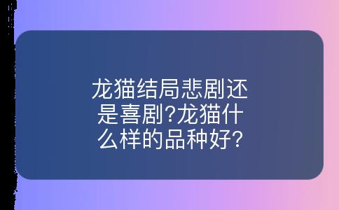 龙猫结局悲剧还是喜剧?龙猫什么样的品种好?