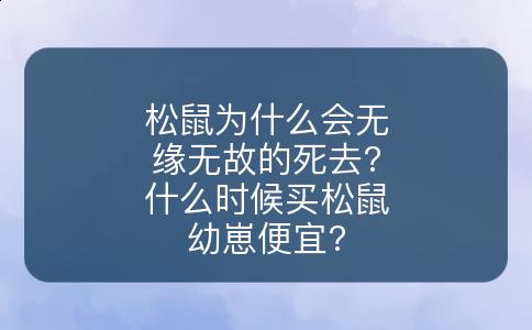 松鼠为什么会无缘无故的死去?什么时候买松鼠幼崽便宜?